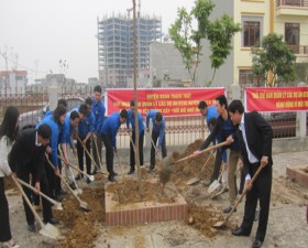 Đoàn Thanh niên BQLDA đầu tư xây dựng huyện tổ chức tết trồng cây