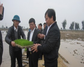 Lãnh đạo huyện đi kiểm tra tình hình sản xuất đầu xuân Bính Thân trên địa bàn huyện Thạch Thất