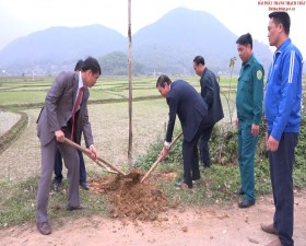 Xã Tiến Xuân phát động Tết trồng cây năm 2019