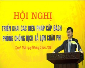 Thạch Thất: Triển khai đồng bộ các biện pháp cấp bách phòng, chống dịch tả lợn châu Phi