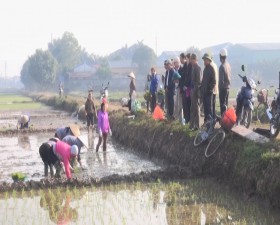 Trạm Bảo vệ thực vật huyện Thạch  Thất tổ chức tập huấn cấy lúa SRI