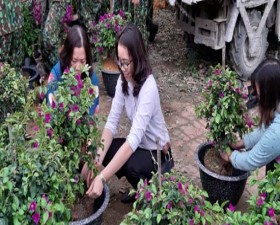 Xã Yên Bình phát động trồng 2km Hoa Giấy chào mừng Kỷ niệm 109 năm ngày Quốc tế Phụ nữ 8/3; 88 năm ngày thành lập Đoàn TNCSHCM và ra quân Tháng thanh niên Việt Nam	
