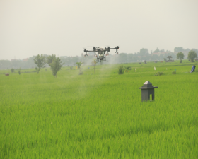 	Trình diễn sử dụng phun thuốc trừ sâu bệnh bằng máy bay không người lái tại Hương Ngải