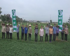 Hương Ngải phát động vệ sinh môi trường trong sản xuất nông nghiệp