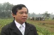 Công Tác Dồn Điền Đổi Thửa Ở xã Binh Yên - Huyện Thạch Thất -Hà Nội