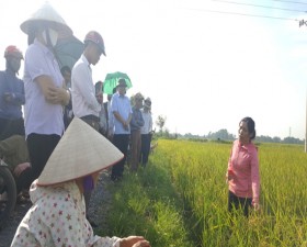 Hội nghị đánh giá kết quả công tác sản xuất vụ xuân 2020 và mô hình trình diễn giống lúa mới J-02