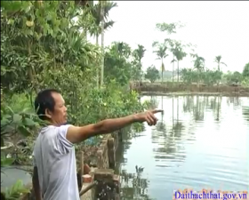 Phóng sự gương cựu chiến binh làm kinh tế giỏi huyện Thạch Thất