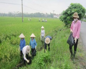 Hương Ngải ra quân thực hiện tuần lễ hành động vì một môi trường không rác