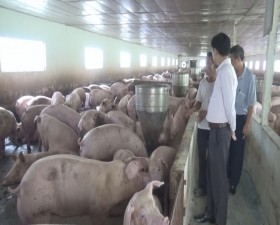 Đoàn kiểm tra TP Hà Nội kiểm tra tiến độ thực hiện chương trình 02 của thành ủy Hà Nội