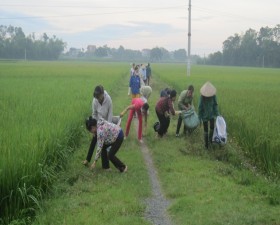 Phụ nữ huyện Thạch Thất tổ chức chiến dịch tổng vệ sinh môi trường