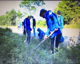 Huyện đoàn Thạch Thất ra quân chăm sóc công trình Đường hoa Thanh niên