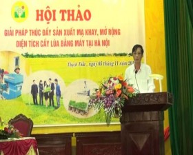 Hội thảo giải pháp thúc đẩy sản xuất mạ khay, mở rộng diện tích cấy lúa bằng máy tại Hà Nội