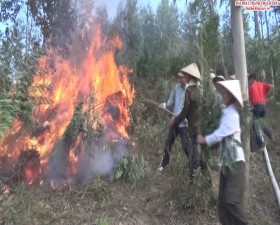 Diễn tập phòng chống cháy rừng tại xã Tiến Xuân huyện Thạch Thất