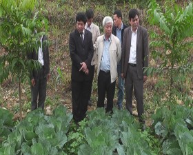 Hội thảo tuyên truyền kết nối, hợp tác sản xuất, tiêu thụ rau hữu cơ