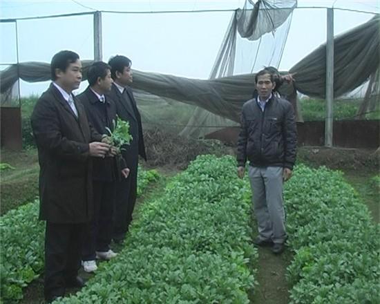 Mô hình ứng dụng khoa học công nghệ của huyện Thạch Thất.