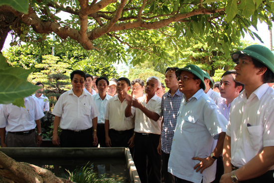 Đồng chí Phạm Quang Nghị - Ủy viên Bộ Chính trị - Bí thư Thành ủy Hà Nội thăm quan mô hình kinh tế trên địa bàn huyện Thạch Thất