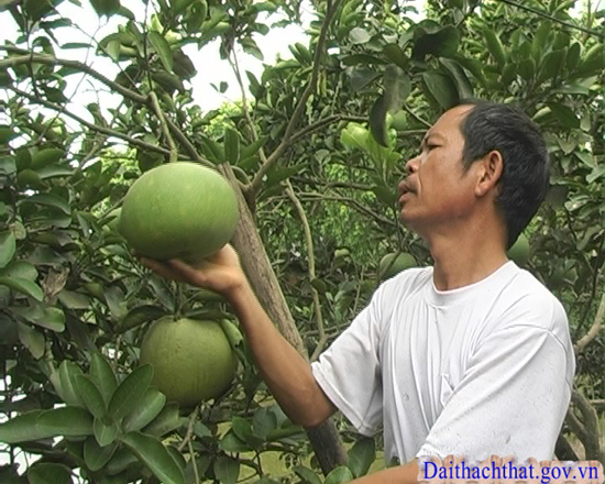 Người bệnh binh làm kinh tế trang trại