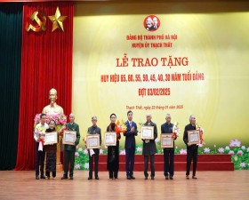 Huyện ủy Thạch Thất trao Huy hiệu Đảng đợt 3/2/2025