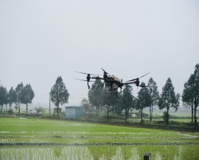 Hội nghị đầu bờ thử nghiệm Mô hình sử dụng phân bón lá hữu cơ Pan