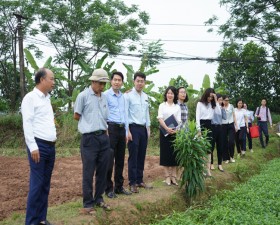 Đoàn kiểm tra liên ngành an toàn thực phẩm Thành phố làm việc tại huyện