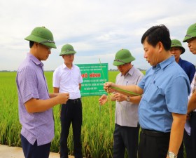 Đoàn công tác của huyện kiểm tra, đánh giá kết quả bước đầu sản xuất vụ xuân năm 2024