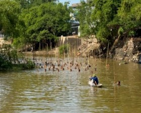 Hội dập xào bắt cá trên sông ở xã Lại Thượng