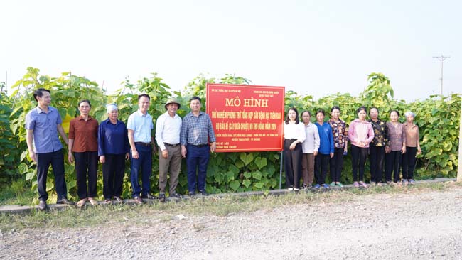 Tổng kết mô hình thử nghiệm phòng trừ sâu bệnh dịch hại tổng hợp trên cây dưa chuột vụ thu đông năm 2024 tại xã Bình Yên